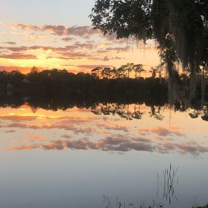 Meet your Posher, Joy